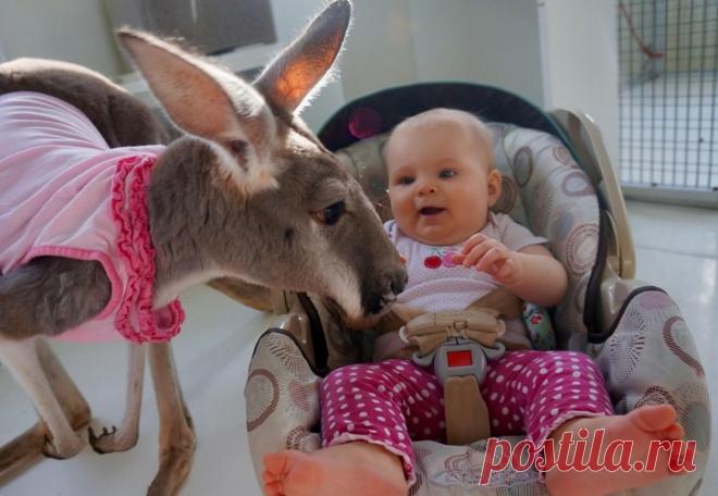 10 фотографий дружбы людей и животных, в которую сложно поверить | Вокруг Света