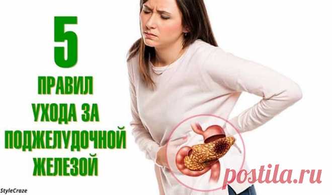 Лечение поджелудочный железы: 5 правил, сохранить её в порядке 

Лечение поджелудочный железы: 5 правил, сохранить её в порядке.Обязательны к исполнению.
Поджелудочная железа — один из самых необычных органов в нашем теле.Эта железа расположена в области левого п…