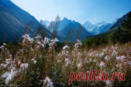 Времена года. - fotonik2