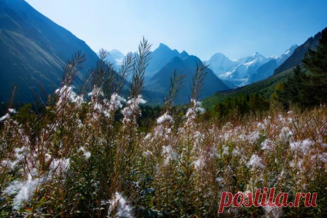 Времена года. - fotonik2