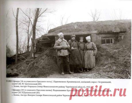 Первая мировая война (Вторая Отечестве / Историческая справка