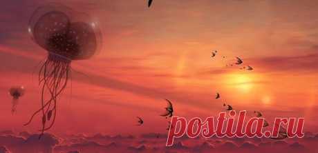 Мужчина, побывавший на 80 планетах, рассказал о жизни во Вселенной и Солнечной системе | BIOсфератум | Дзен