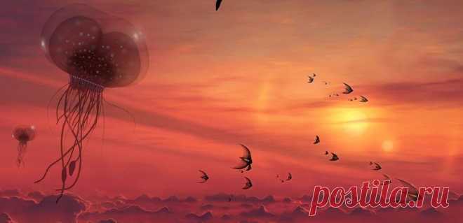 Мужчина, побывавший на 80 планетах, рассказал о жизни во Вселенной и Солнечной системе | BIOсфератум | Дзен