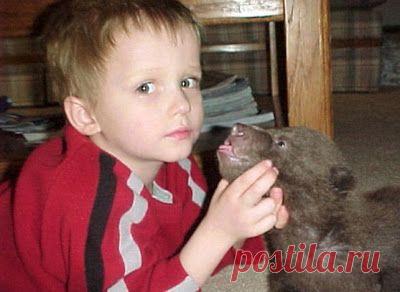 Этот парень нашел двух медвежат возле умершей матери. Произошедшее потом не передать словами...