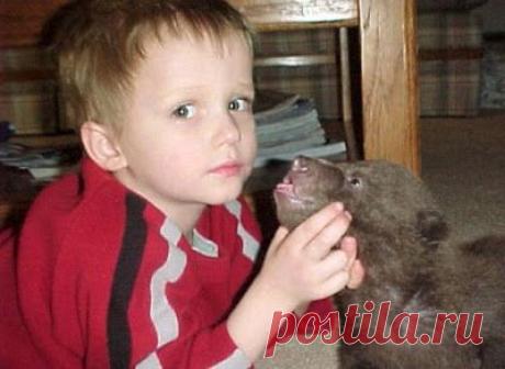 Этот парень нашел двух медвежат возле умершей матери. Произошедшее потом не передать словами...