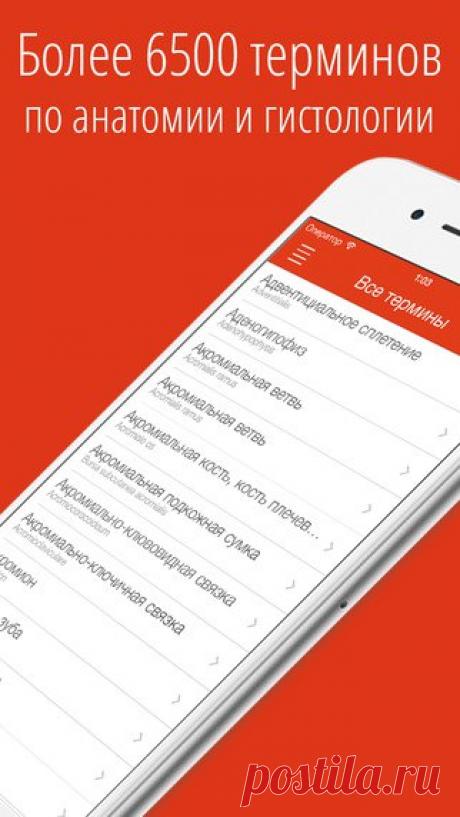 [Sale-iOS] Cito! &quot;Cito! анатомия&quot; это словарь, содержащий свыше 6600 анатомических терминов тела человека. Чёткие и ёмкие определения помогут быстро выучить или вспомнить анатомические термины. Данное приложение послужит прекрасным дополнением к атласам по анатомии человека. 149 руб. -&gt; 15 руб. Ссылка: ====================== #app_store #распродажа@app_4u
