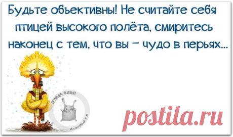 ХА-ХАтунчики))