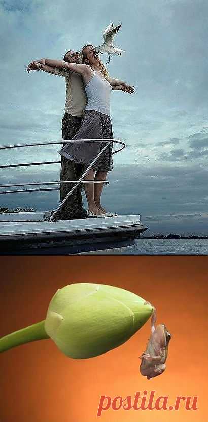 Когда фото удалось... / Приколы