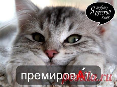 Стена