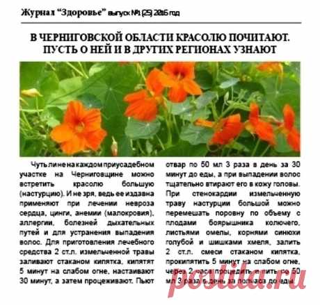 Настурция лечит
