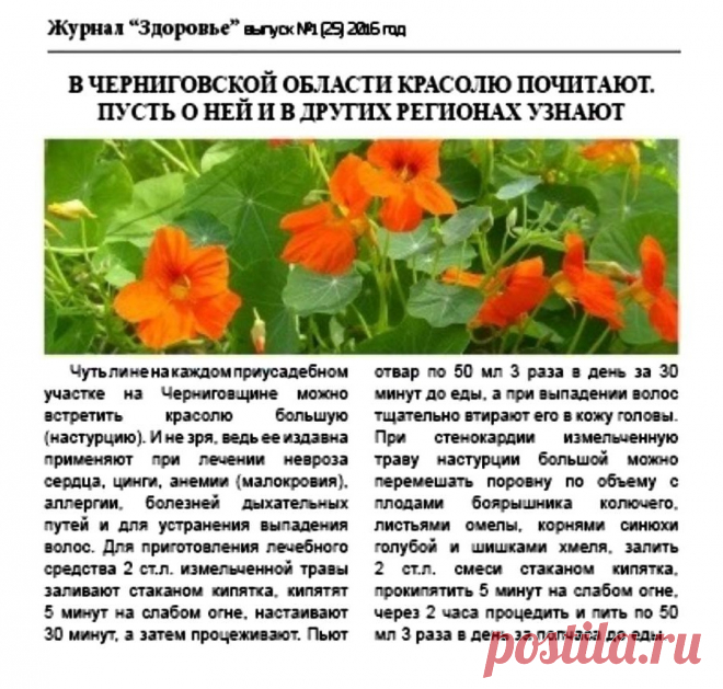 Настурция лечит