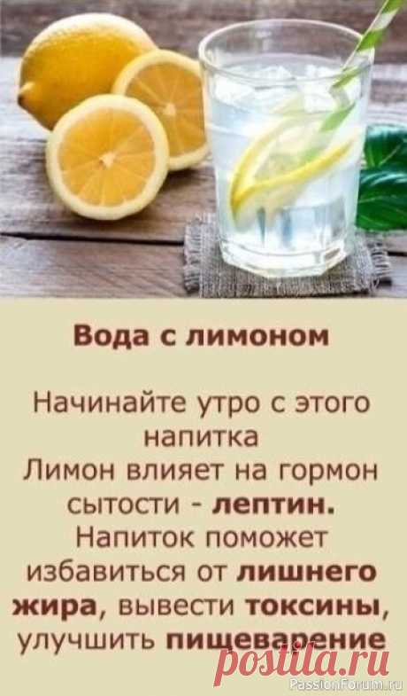 Напитки, способные поддержать женские гормоны .