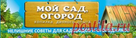 Сад, огород. Копилка дачного опыта. .