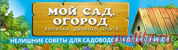 Сад, огород. Копилка дачного опыта. .