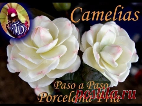 Flores Porcelana fria: Camelias Paso a paso - YouTube