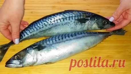 Малосольная скумбрия