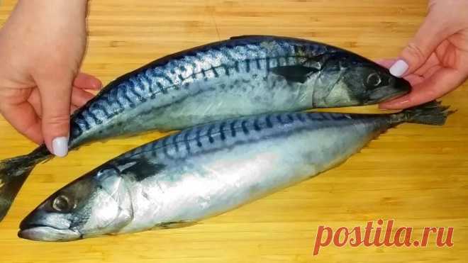 Малосольная скумбрия