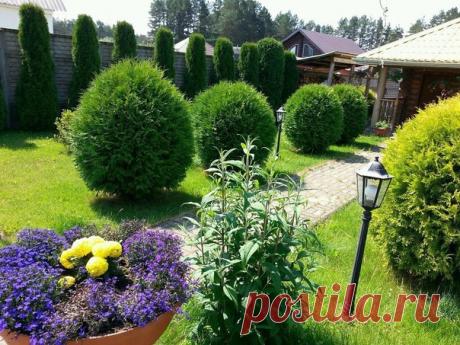 Очень красивый ландшафтный дизайн.