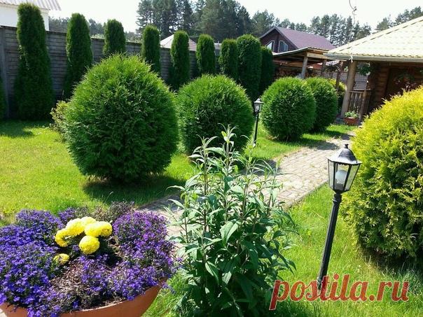 Очень красивый ландшафтный дизайн.