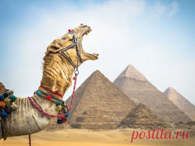 В объективе лучшие фотографии июля 2015-го от журнала National Geographic — Фотоискусство