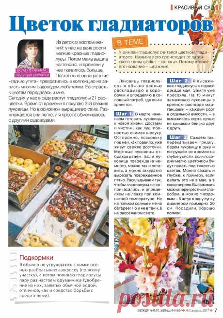Гладиолусы