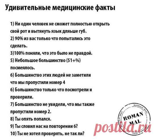 Смешные фразы