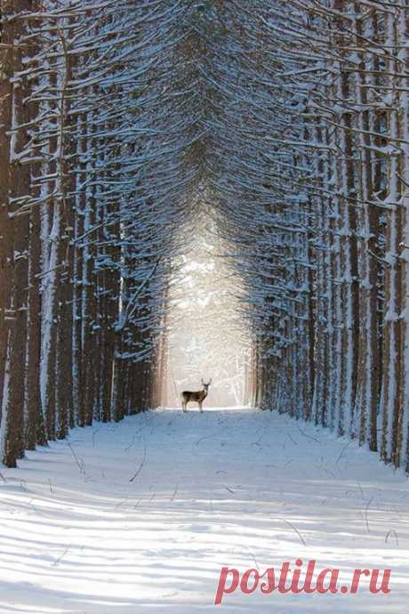 Our Beautiful World
