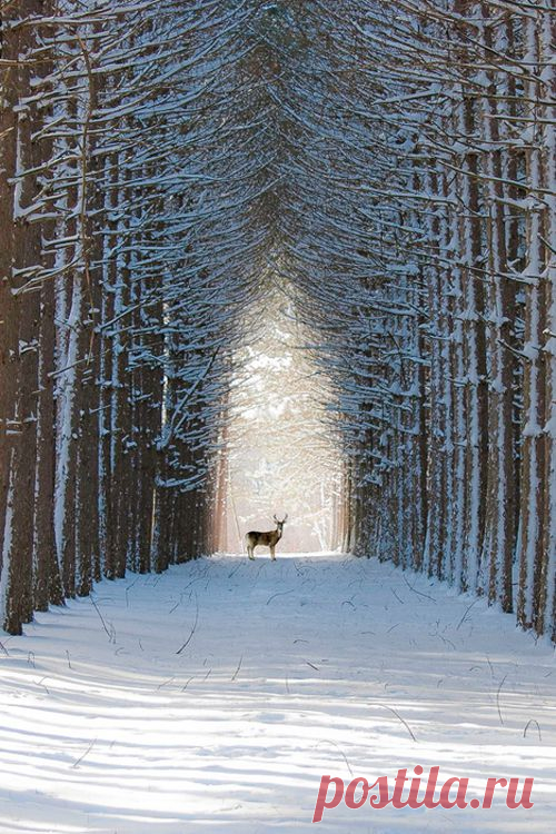 Our Beautiful World