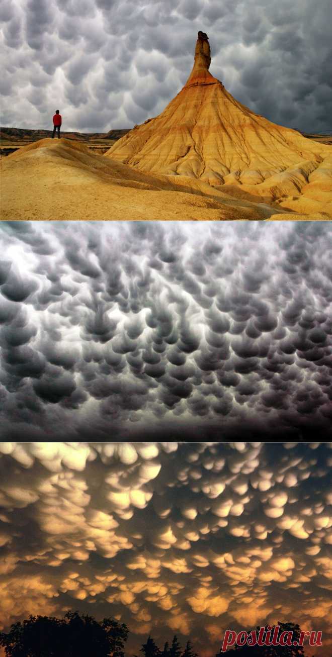 ФотоТелеграф » Необычные облака: Mammatus