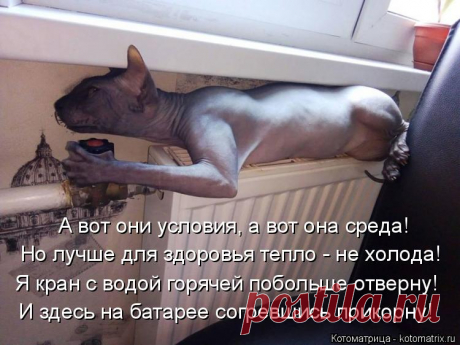 Позитив на пятницу