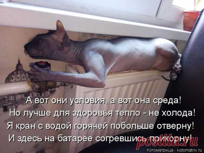 Позитив на пятницу