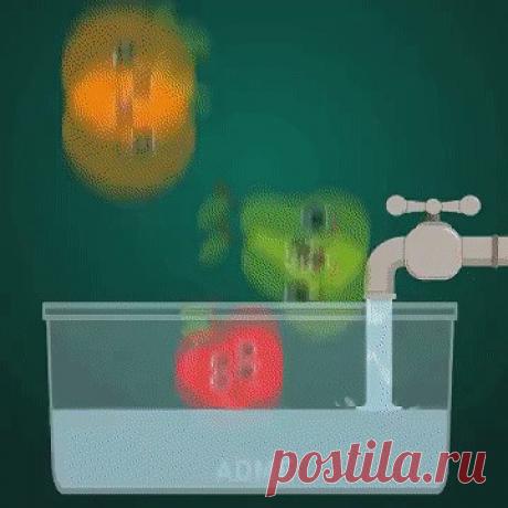 Как правильно мыть фрукты и овощи... Как правильно мыть фрукты и овощи... 😳