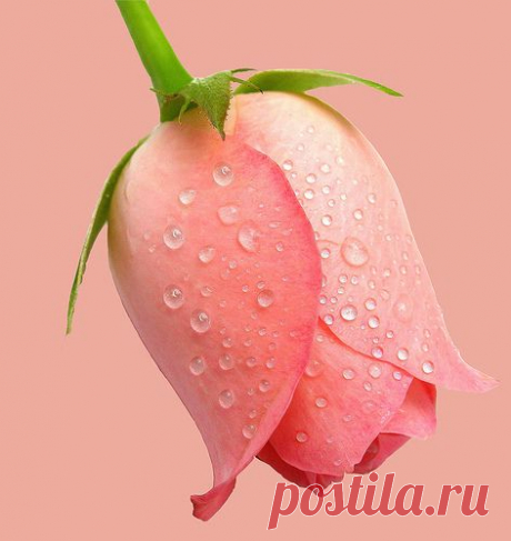 (6576) Pinterest: Discover and save creative ideas