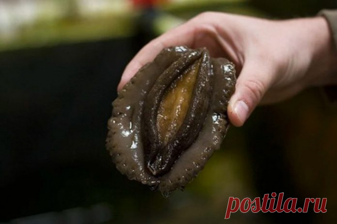 Выкиньте немедля! Продукт, который вызывает рак, хранится в каждом холодильнике!