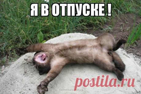 Интересные новости