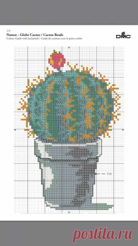 (8) Gallery.ru / Фото #4 - Globe Cactus - roro-stitcher