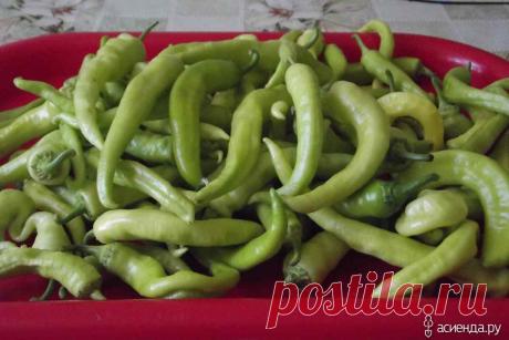 Перец острый &quot;цицак&quot; квашенный.: Группа Собираем урожай: хвастики, рецепты, заготовки