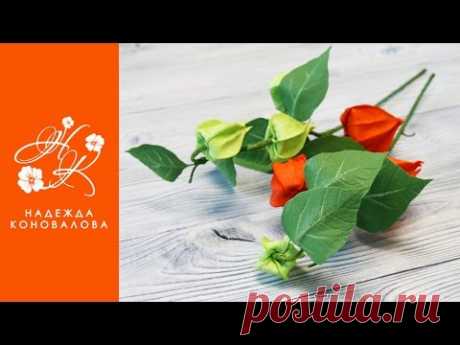Осенний физалис из фоамирана - мастер-класс