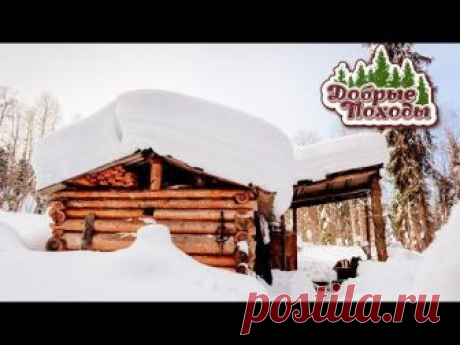 ЛЕСНАЯ ИЗБА - 4 ГОДА СПУСТЯ 🏕️