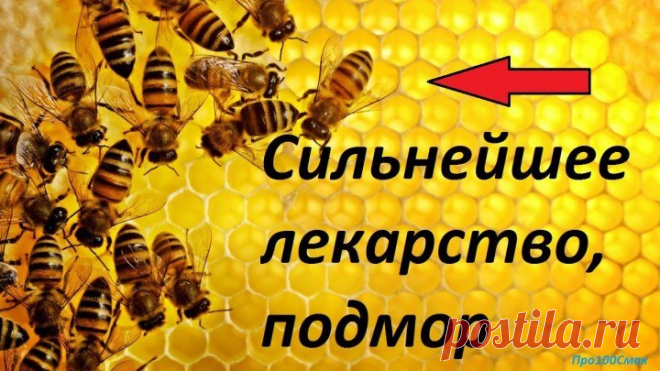 СИЛЬНЕЙШЕЕ ЛЕКАРСТВО ПЧЕЛИНЫЙ ПОДМОР.НАСТОЙКА.