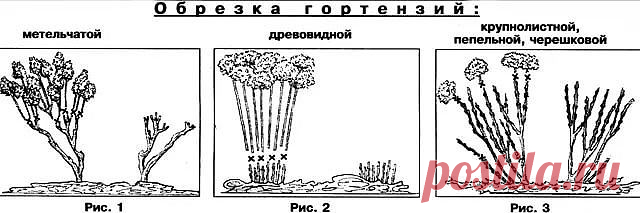 (10) Одноклассники
