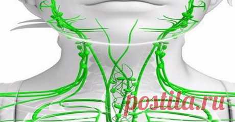 Лимфаденит: 80% того, что мы делаем, вредит нашему здоровью В нашем организме протекают две реки жизни, очень тесно связанные между собой,...