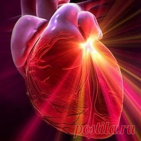 Как укрепить сердце: 6 простых советов
1. Ходи пешком каждый день не менее 45 минут. Если приучить себя к этом сложно, возьми за правило после прогулки звонить кому-нибудь из друзей и «отчитываться».
2. Контролируй артериальное давление. Если достигает 140/90, стоит принимать меры. Нужны регулярные аэробные нагрузки (плавание, например), контроль веса, недосоленная пища.
3. Следи за уровнем холестерина. Особенно важно, чтобы было достаточное количество хорошего холестерина – около 2 ммоль/л (сд