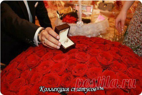 (64) Одноклассники