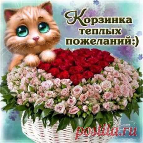 Музыкальные открытки анимация | День рождения, Юбилейные открытки, Открытки На сайте Альбом открыток представлены бесплатные открытки по разным праздникам, и что самое главное все открытк�и очень красивые, большие и с музыкой.