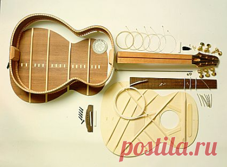 Строение гитары фото | guitarprofy