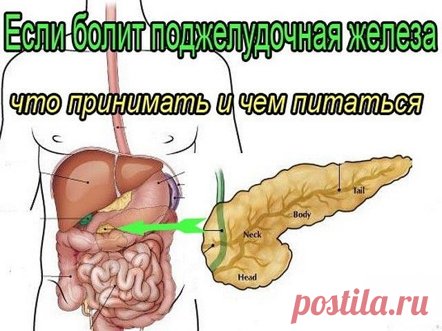 ЛЕЧЕНИЕ ПОДЖЕЛУДОЧНОЙ ЖЕЛЕЗЫ НАРОДНЫМИ МЕТОДАМИ