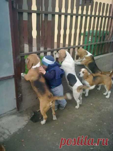 Подборка забавных фото | Фотомонтаж