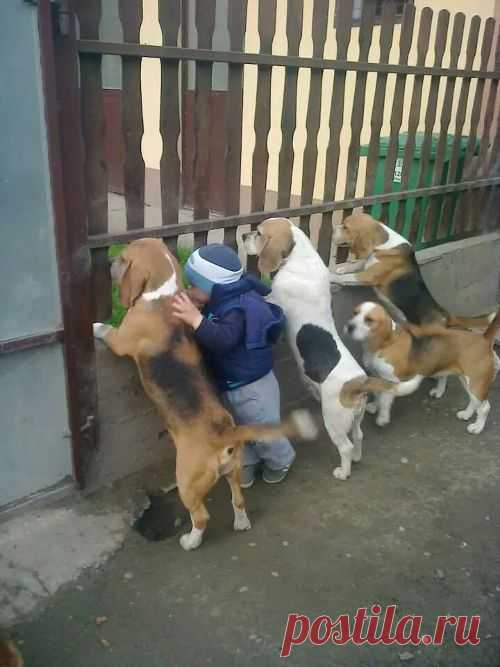 Подборка забавных фото | Фотомонтаж