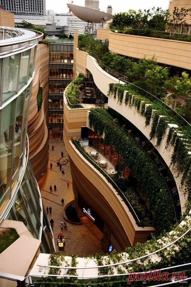 Цветущая крыша Namba Parks в Осаке - Путешествуем вместе
